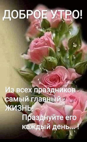 file_84643040