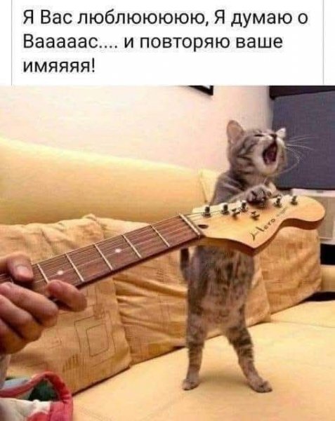 FB IMG 1777318336690