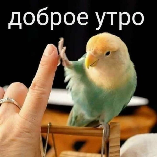 file_79120965