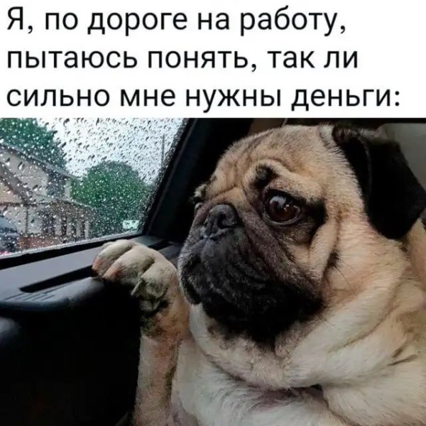IMG 20240816 231529 338