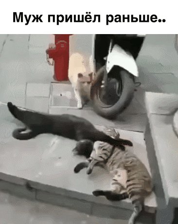 ))