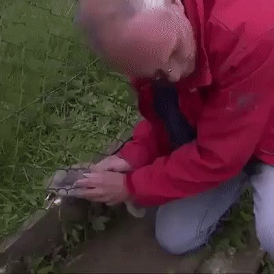 Огромный молодец....