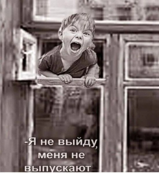 FB IMG 1777318184035