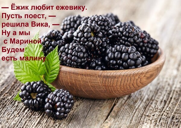Открытка ёжик любит ежевику пусть поест
