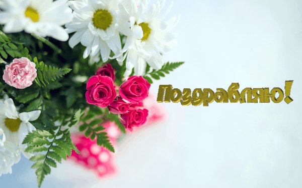 РозыРомашки