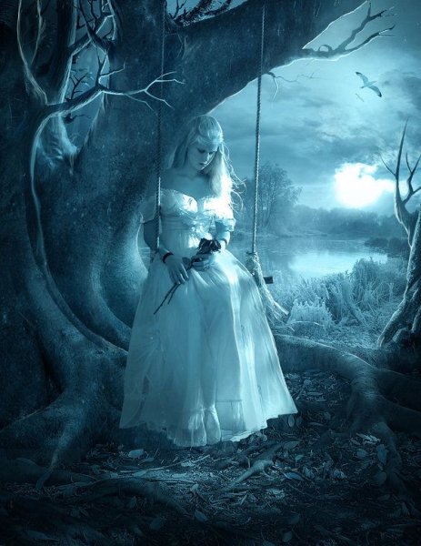 F99ac395a99bc107fcedcea4767953ef