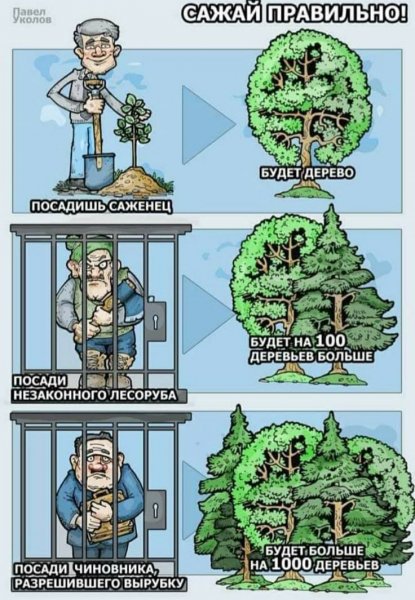 Cfc0e4f4db720b56cf84eadadfcef587