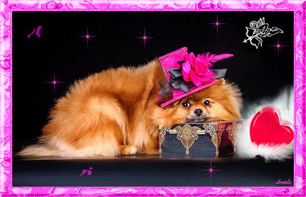 С Днём св.Валентина!