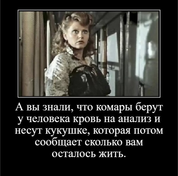 А вы знали, что комары берут у человека кровь на анализ и