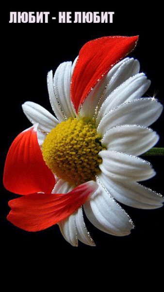 E55FD398-089C-4641-9B9C-20B2070A5E76