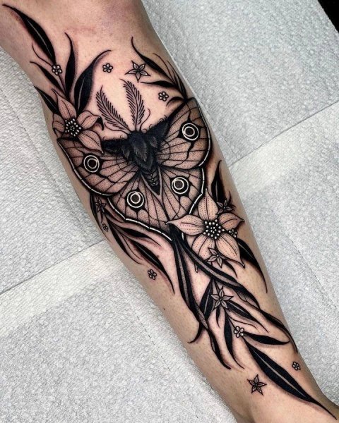 IMG 20260125 185617 370