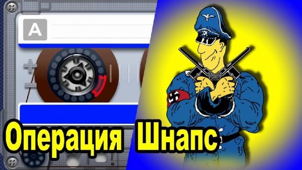 Похождения Штирлица (Книга 2) Операция шнапс