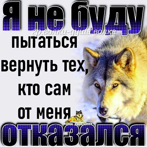 file_100491580