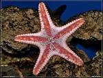 images004