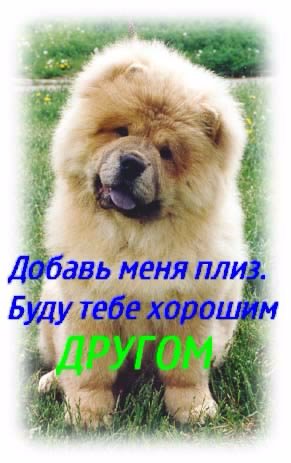 Pupsik nasimke ru