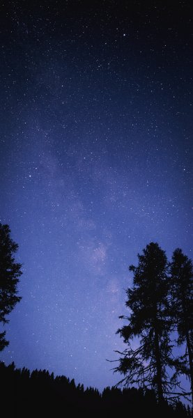 file_102244731