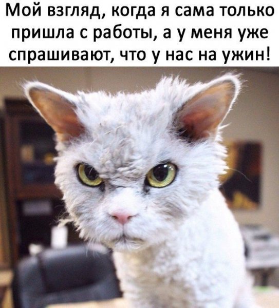 аhhbtxoQnap4