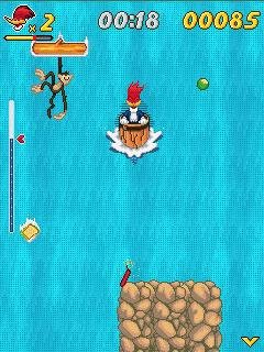 woody wood peckerin waterfools