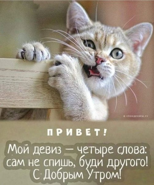 FB IMG 1780592417412