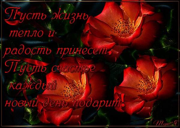 yana-kazhdyy-den-510-1
