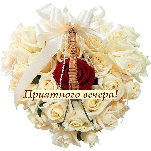 K6xW VXN88w