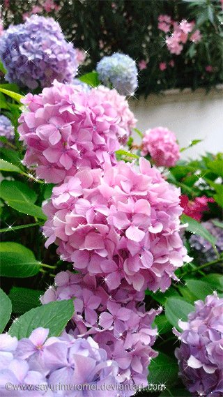 28c0887f4f703c4cb6952f78af386e54