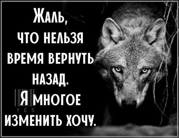 Жаль