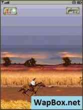 Musketeer (Мушкетеры)