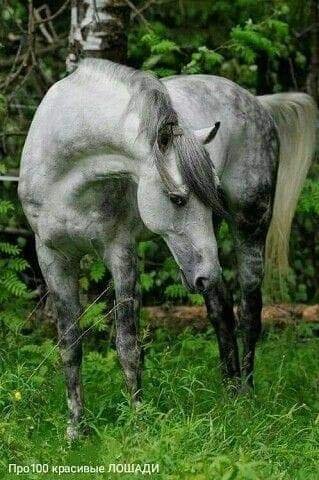 FB IMG 1614133555770