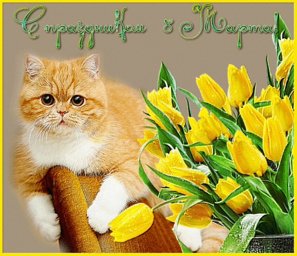 С 8 Марта!