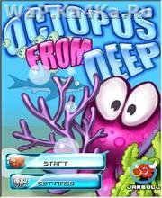 Octopus From Deep