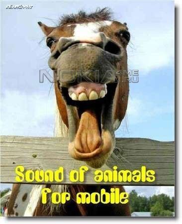 Звуки животных - Cоловей