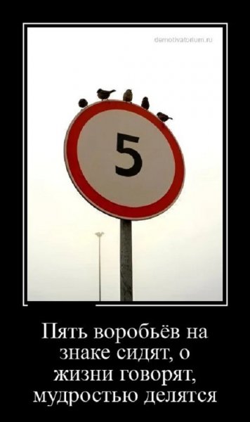 Пять воробьёв...