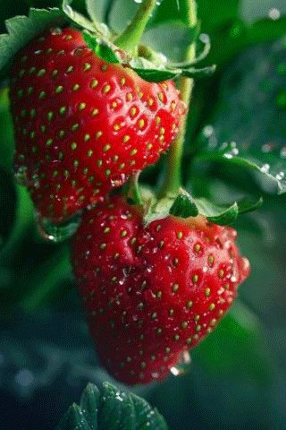 file_97386027
