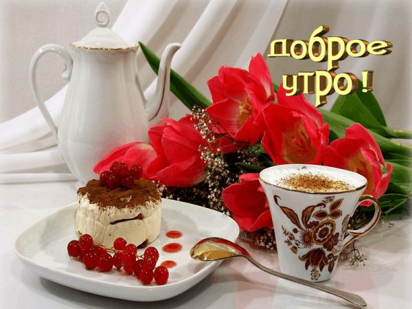 Доброе утро