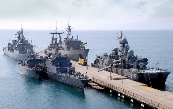 IMG viter59 152954 2015