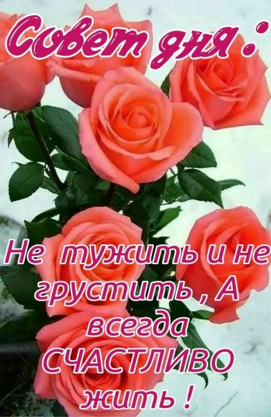 file_92032676