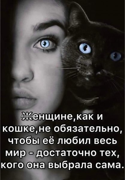 Img 1 1689003576268-