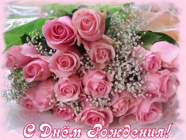 file_81288111