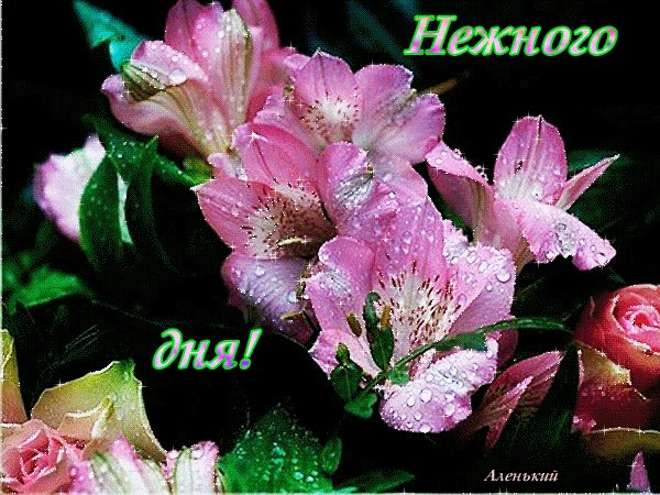 file_63796943