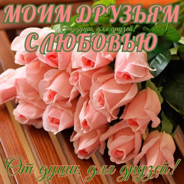 tNVxn 16AA