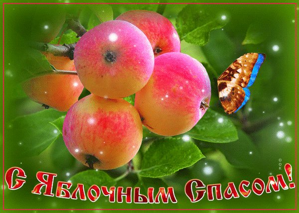 Анимированная открытка с яблочным спасом (6)