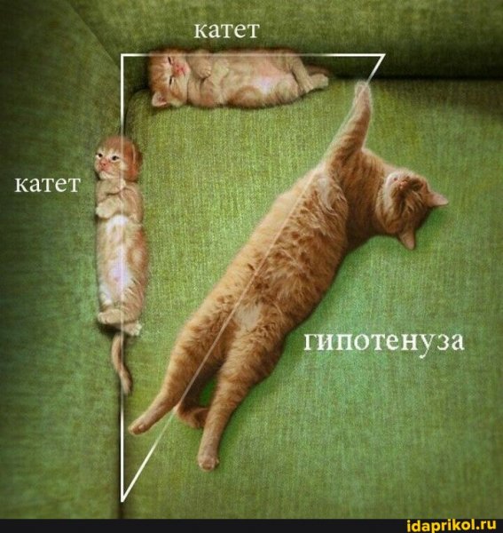 b94b76cab41e3ef95f8b30011f2d715f47a172a9f 1