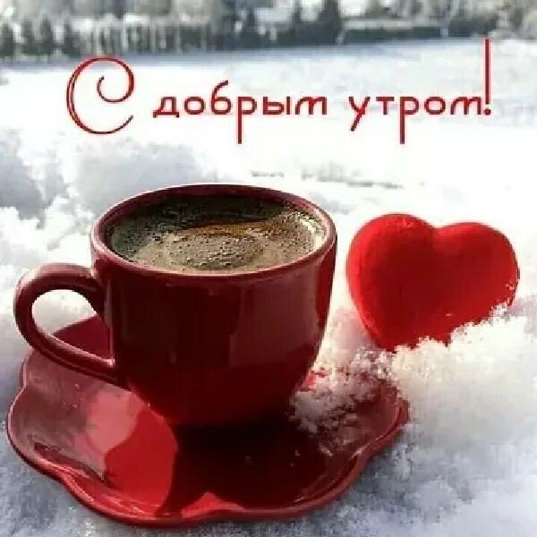 IMG 20221209 192826