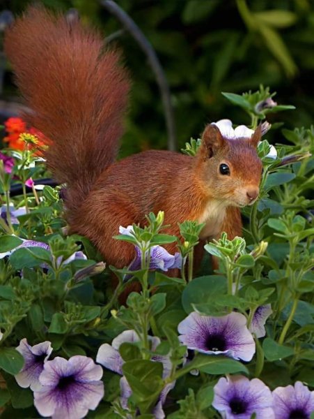 IMG-5c69c8587fb69902e1485f0fc6943f7f-V