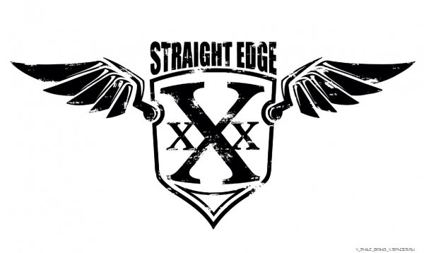 Straight Edge Wings by Two Stripes-space