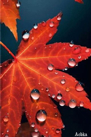 file_94971910