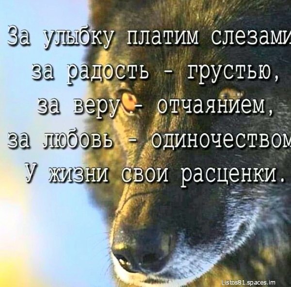 file_99753390
