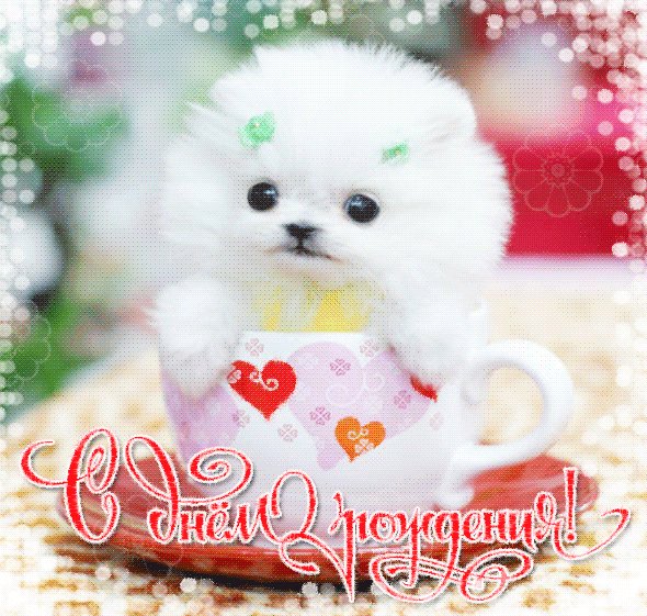 С Днём Рождения!