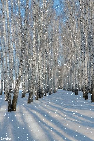 file_79650179